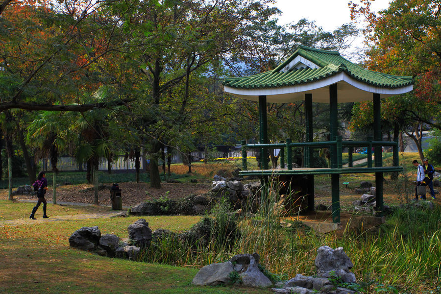 Hangzhou-Botanical-Garden